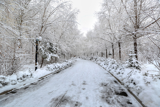 公园雪凇