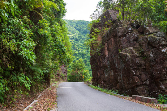 桂平龙潭国家森林公园盘山公路