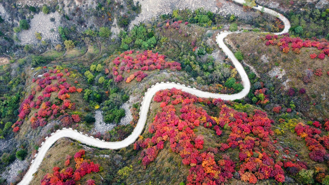 鲁中山区秋色