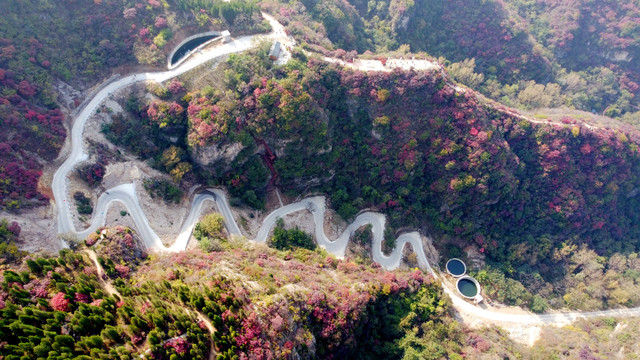 天赐山路