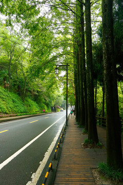 青城后山风景区