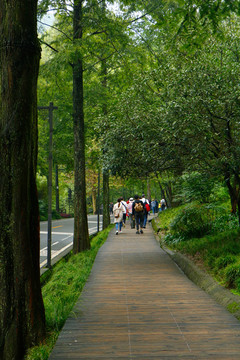 青城后山风景区