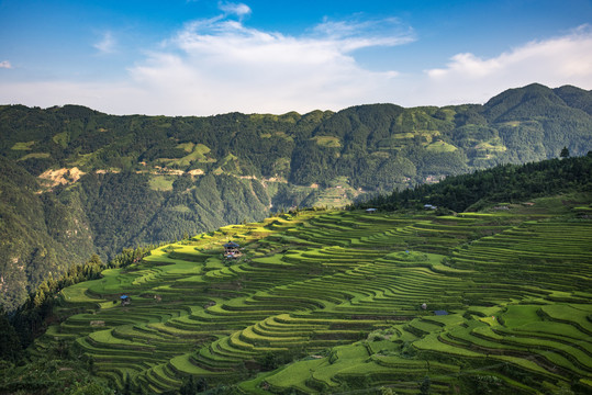 贵州梯田