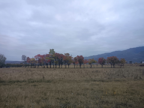 兰州兴隆山