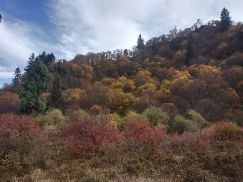 吐鲁沟