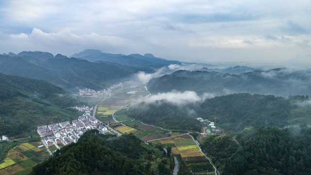 田园风光