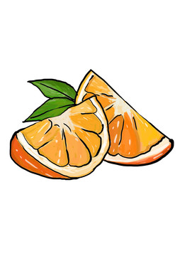 橙子桔子插畫