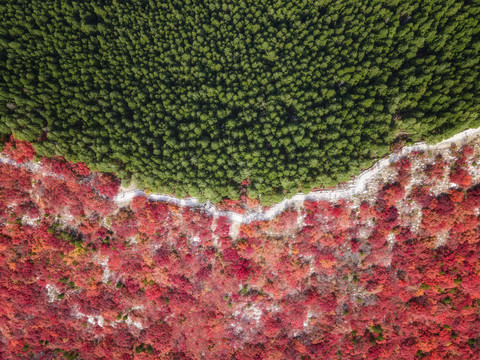 航拍济南蝎子山山体公园自然风景