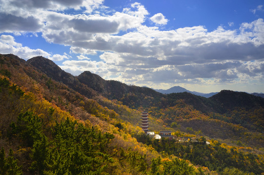 莱州大基山森林公园