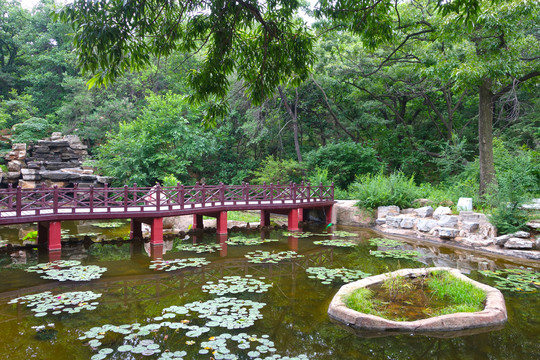 北戴河联峰山莲池风景