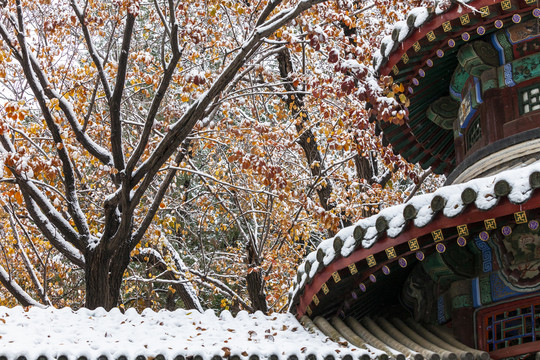 颐和园雪景