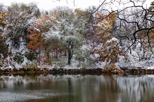 颐和园雪景