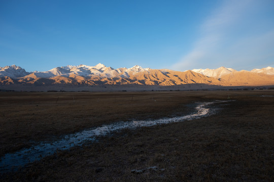 新疆塔合曼湿地