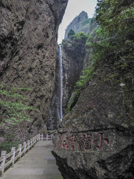 大白鵝