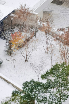 雪后院落