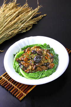 房縣小花菇