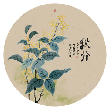 24節(jié)氣秋分水彩桂花插畫