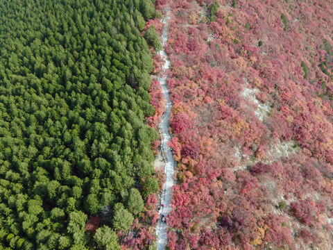 航拍济南蝎子山自然风景