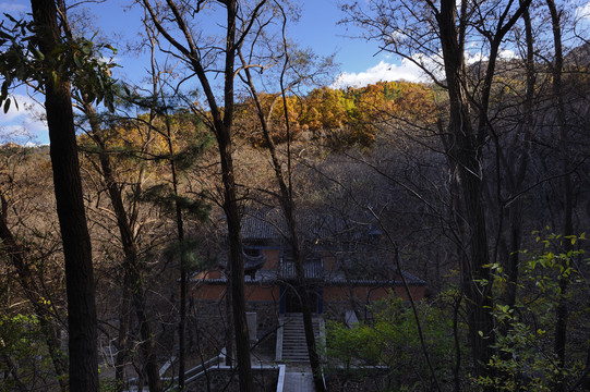 萊州大基山森林公園