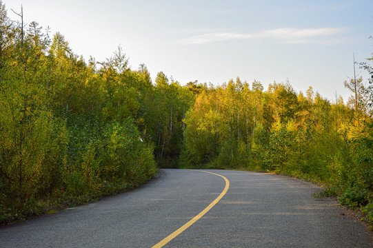 林区公路