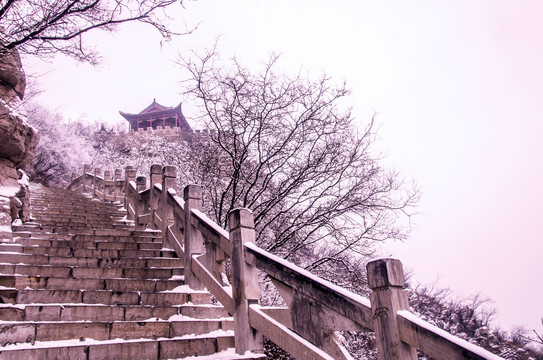 抱犊寨雪景