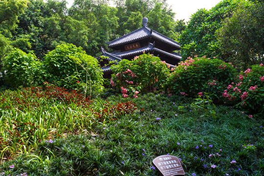 南宁青秀山风景区园林景观