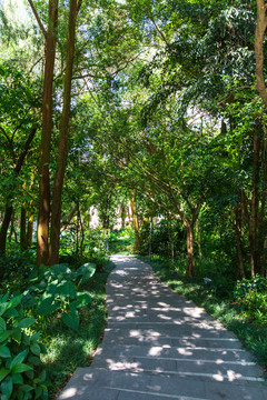 南宁青秀山风景区游览步道