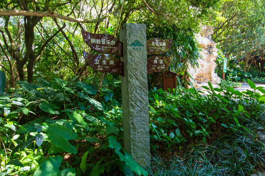 南宁青秀山风景区园林指路标