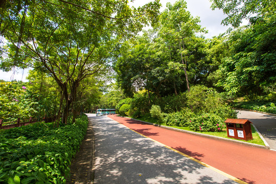 南寧青秀山風(fēng)景區(qū)游覽步道