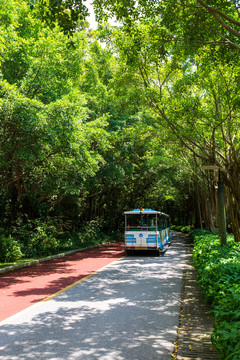 南宁青秀山风景区游览步道