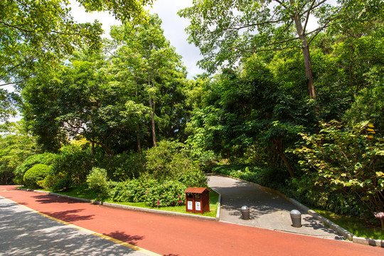 南宁青秀山风景区游览步道