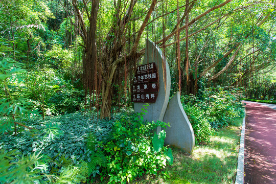 南宁青秀山风景区园林方向牌