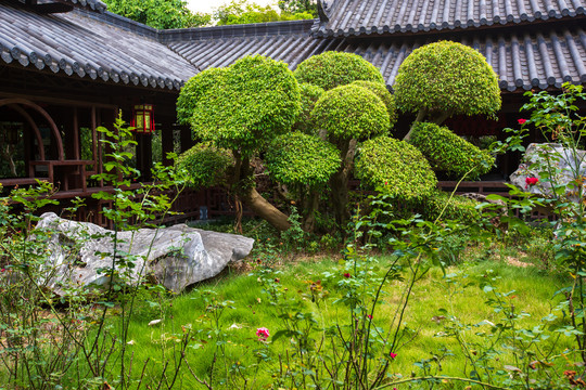 南宁青秀山风景区园林风光