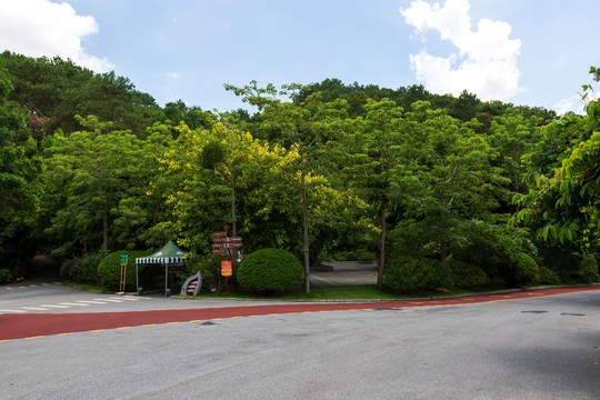 南宁青秀山风景区园林游览步道