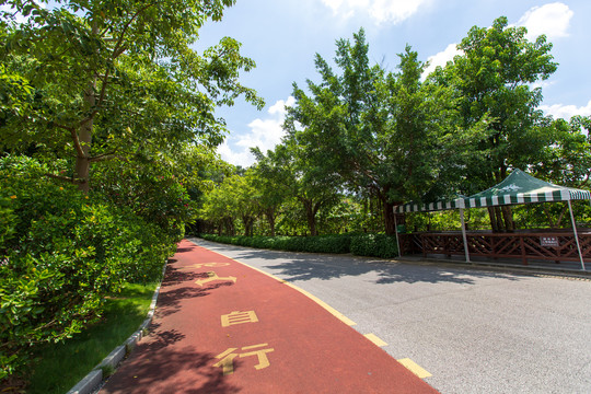 南宁青秀山风景区园林道路