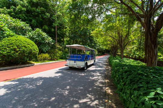 南宁青秀山风景区园林道路