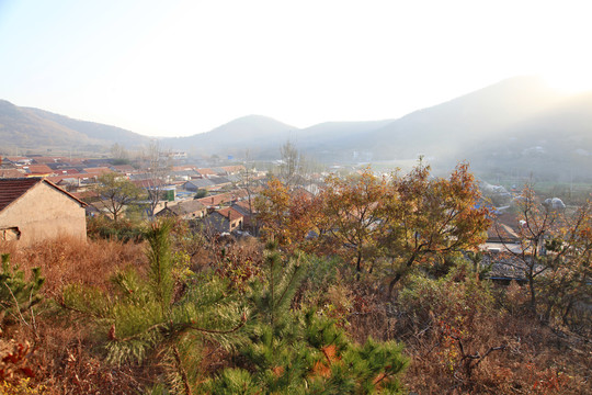 初冬早晨的小山村