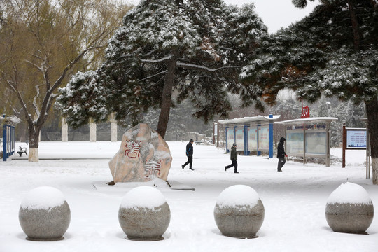 人在雪地中行走