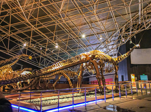 云南恐龙博物馆