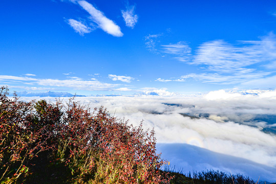 四川贡嘎雪山