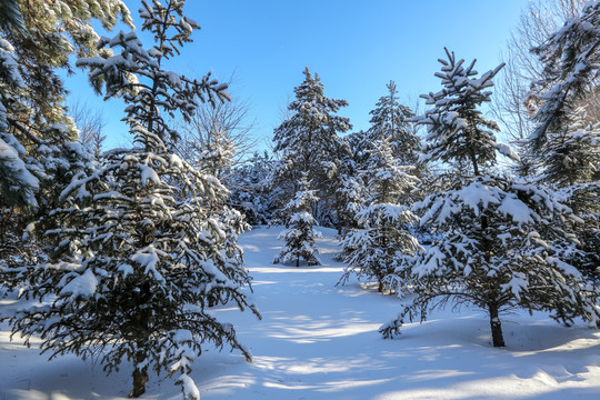 黑龙江雪凇