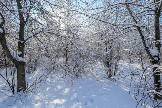 黑龍江雪凇