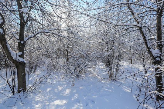 黑龙江雪凇