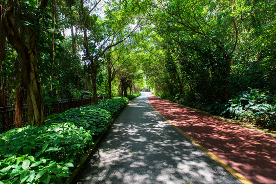 南宁青秀山风景区园林游览步道