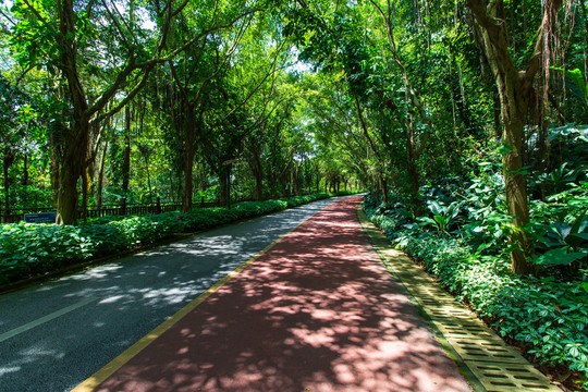 南宁青秀山风景区园林游览步道