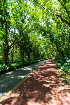 南宁青秀山风景区园林游览步道