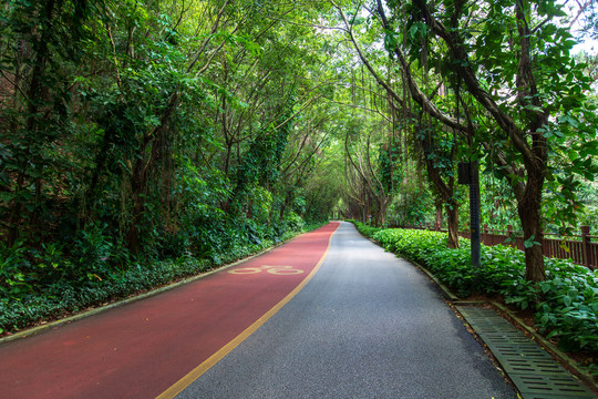 南宁青秀山风景区游览步道