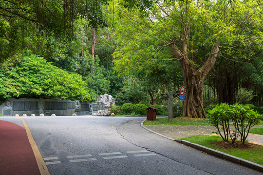 南宁青秀山风景区游览步道