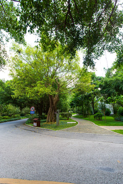 南宁青秀山风景区园林道路