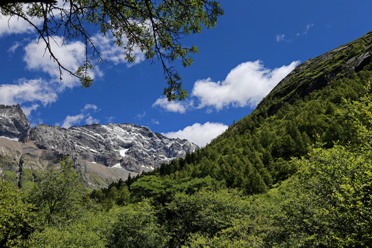 四姑娘山